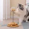 Cat Comfort & Style