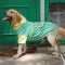 Dog Clothing