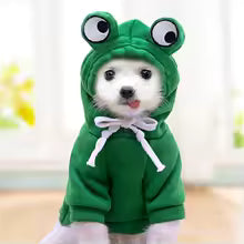 The Dog Face Hoodie