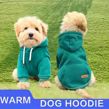 The Dog Face Hoodie